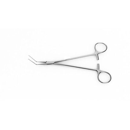 Plaque Remover